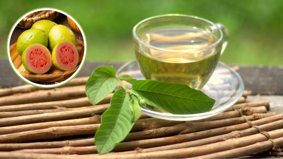Como Usar o Chá de Goiabeira no Controle da Glicose