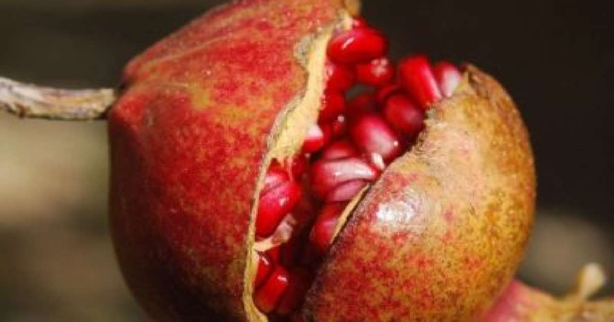 5 Receitas de Gargarejos Naturais para Dor de Garganta
