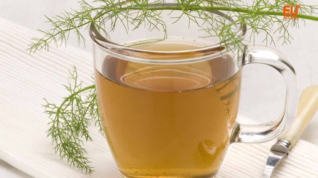 Como preparar o chá de erva-doce perfeito