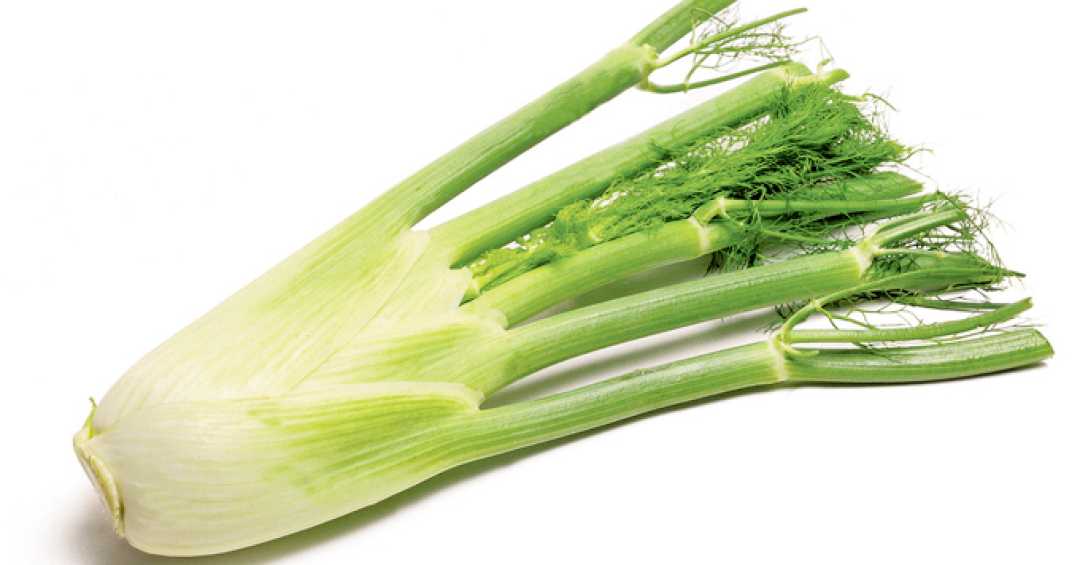 Erva-doce vs. Camomila: Qual o melhor para relaxar?