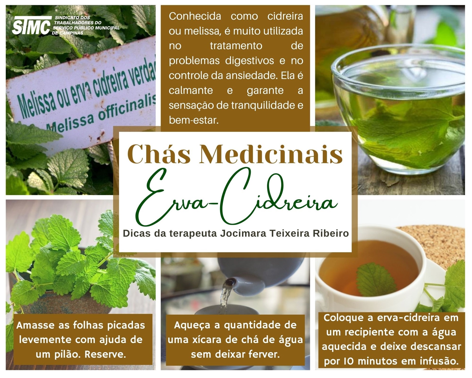 Guia completo dos benefícios do chá de hibisco para a saúde