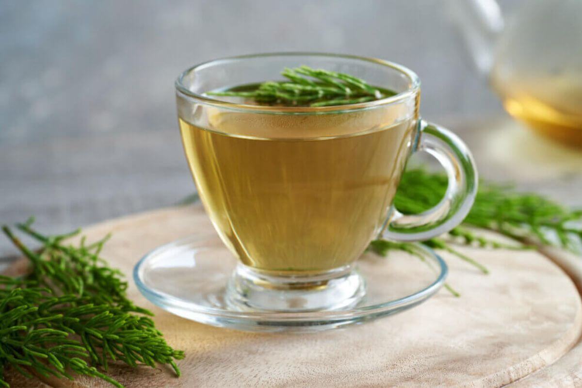 5 receitas de chás detox para o café da manhã